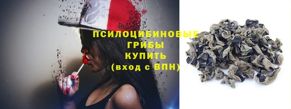 прущие грибы Краснослободск