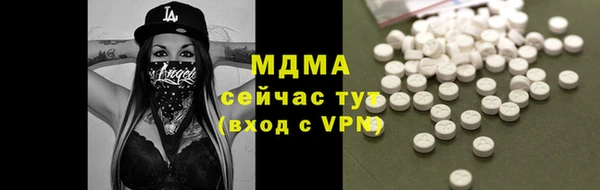 прущие грибы Краснослободск
