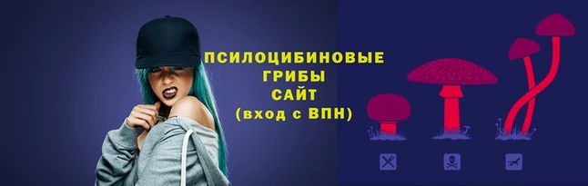 прущие грибы Краснослободск