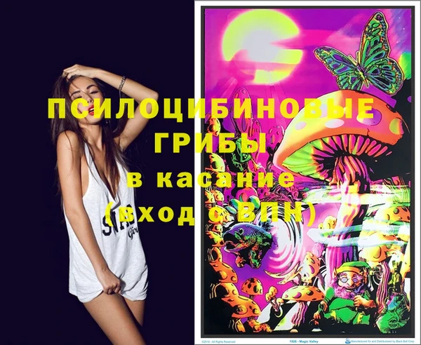 прущие грибы Краснослободск
