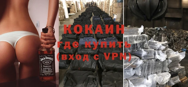 прущие грибы Краснослободск