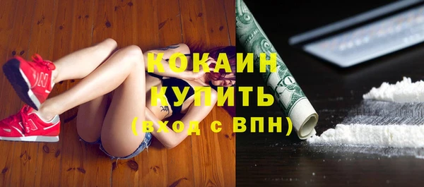прущие грибы Краснослободск