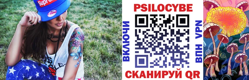 Псилоцибиновые грибы Psilocybe Брюховецкая